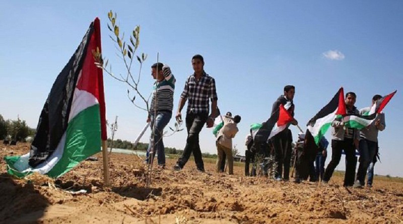 العربية الفلسطينية: الفلسطينيون متمسكون بالأرض وحق العودة