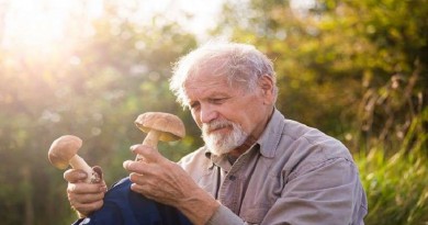 لماذا يتسبب الفطر بالهلوسة؟