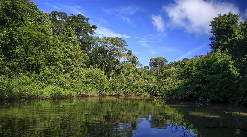 العثور على رجل اختفى 22 عاما في غابات الأمازون