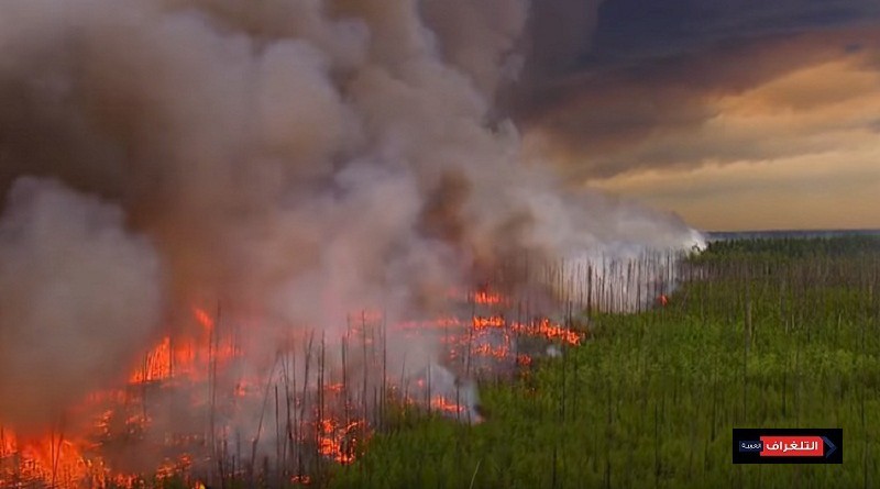 تحقيقات حريق أريزونا... حفل عائلي تسبب بحرق 470 كيلومترا مربعا