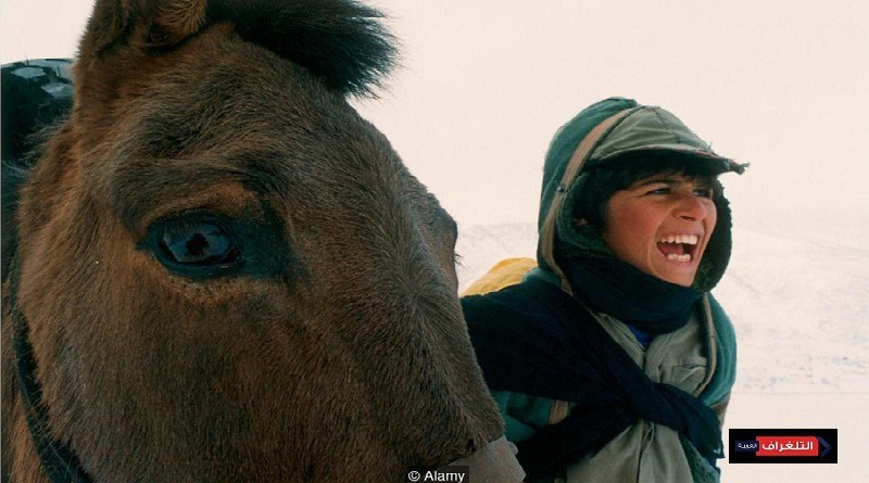 «زمن الخيول الثملة» للمخرج «بهمن قبادي» يتصدّر قائمة أفضل 12 فيلما في تاريخ السينما