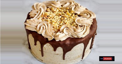 HAZELNUT MOUSSE COCONUT CAKE