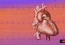أعراض تشير إلى قصور القلب