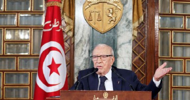 السبسي: تونس ستنجح في استضافة القمة العربية