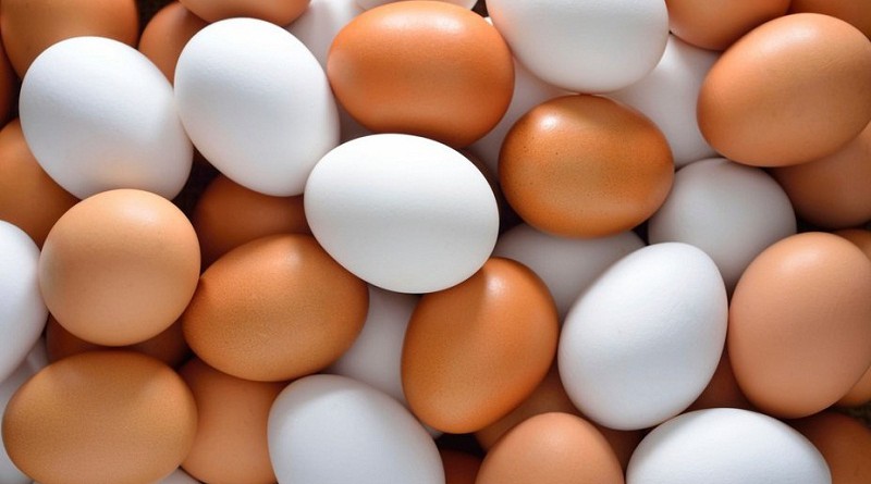 هل بقع دموية في البيضة خطيرة على الصحة؟