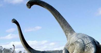 عاشت منذ 140 مليون سنة...اكتشاف نوع جديد من ديناصورات في الأرجنتين