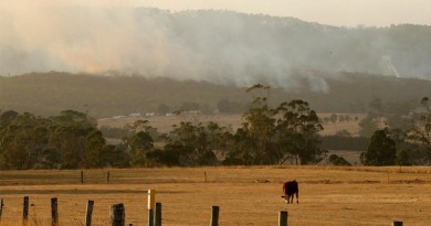 حرائق الغابات تدمر أكثر من 30 منزلًا في أستراليا