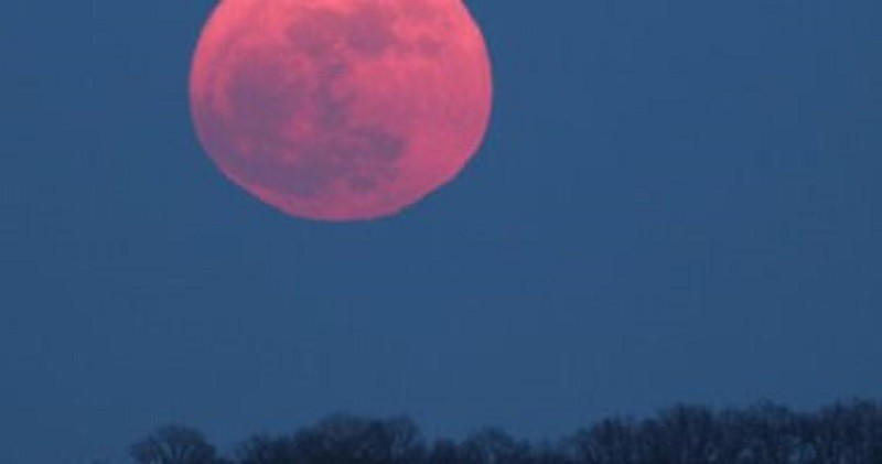 "القمر الوردي".. ظاهرة فلكية "ساحرة" آخر الأسبوع
