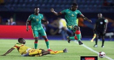 نيجيريا والكاميرون كأس الأمم الأفريقية