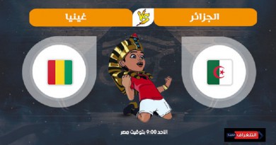 الجزائر وغينيا كأس الأمم الأفريقية