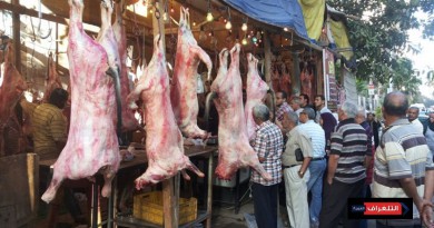 تموين الشرقيه يتابع لحوم العيد بكل محلات الاغذية