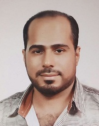 الكاتب - محمد شمس الدين