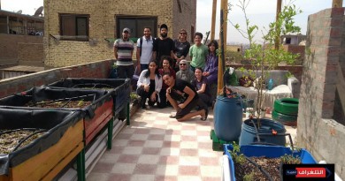 طلاب الجامعة الأمريكية بالقاهرة يؤسسون حديقة مستدامة على سطح مبنى في منطقة الحطابة
