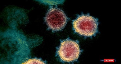 معلومات محتملة مفاجئة عن فيروس كورونا