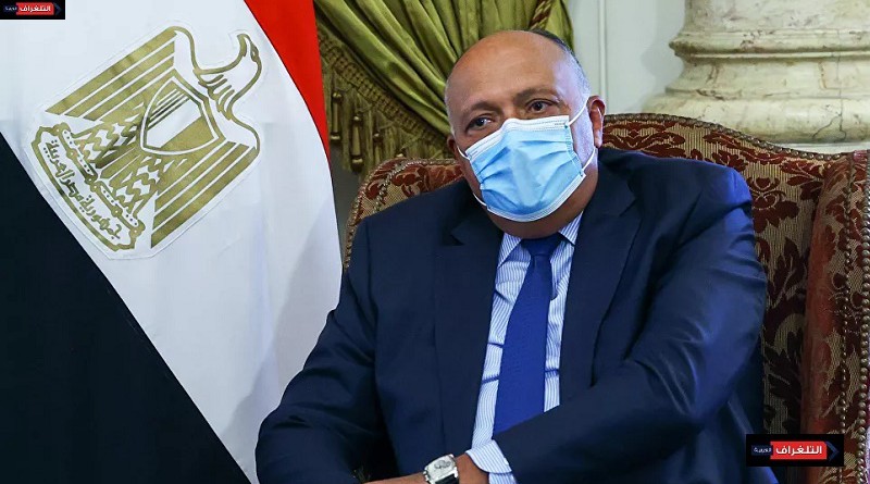 مصر: تصريحات وزير خارجية لبنان مسيئة