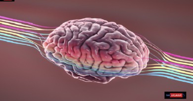 كيف يعيد الدماغ تنشيط نفسه بعد النوم العميق للتخدير؟!