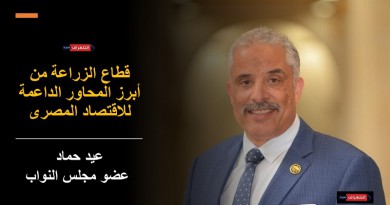 عيد حماد: الاستثمار الزراعي يشكل أهمية كبيرة في الاقتصاد القومي