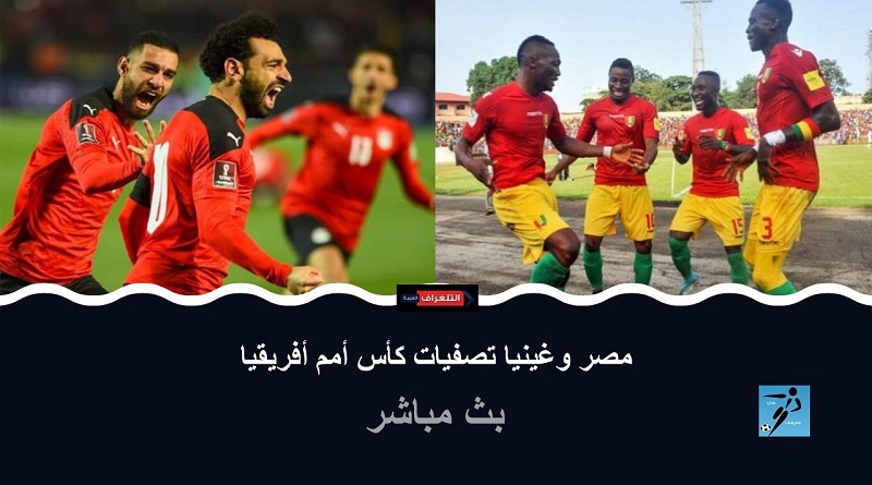 مصر وغينيا تصفيات كأس أمم أفريقيا