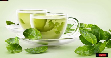 الشاي الأخضر وفوائده للجسم والبشرة وأضراره