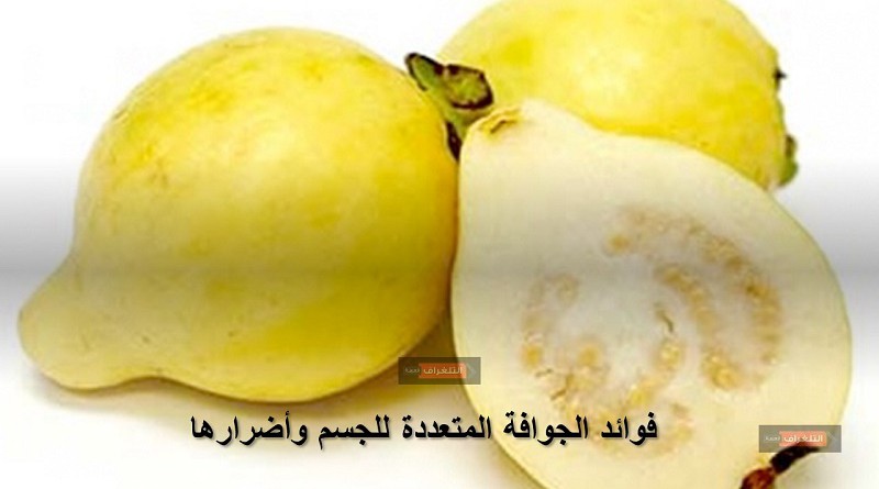 فوائد الجوافة المتعددة للجسم وأضرارها