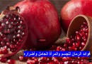 تعرف على فوائد الرمان للجسم والمرأة الحامل وأضراره