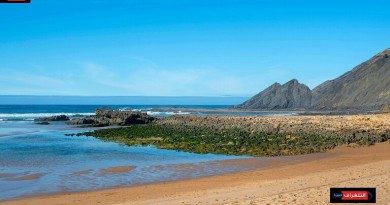 تحتفل جزيرة سانت هيلينا الواقعة في جنوب المحيط الأطلسي بأقدم كائن في العالم على قيد الحياة، وهو سلحفاة عملاقة تدعى "جوناثان" إذ ستبلغ من العمر 190 عاما.