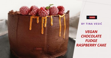 VEGAN CHOCOLATE FUDGE RASPBERRY CAKE
