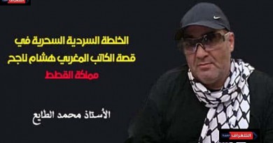 الخلطة السردية السحرية في قصة الكاتب المغربي هشام ناجح (مملكة القطط)