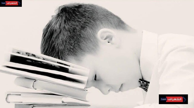 أخصائية تأهيل تخاطبي: صعوبات التعلم عند الأطفال ليست كسلًا.. بل حالة تحتاج لدعم متخصص