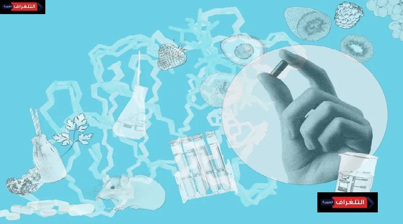 باحث من بازل أحدث ثورة في فهم الشيخوخة