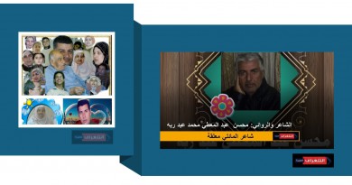 محسن عبد المعطي