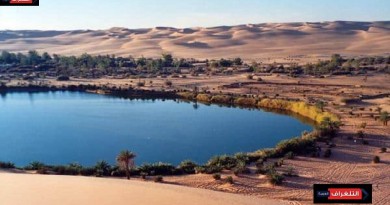 التسويق الإلكتروني ودوره في نجاح وكالات السياحة العلاجية