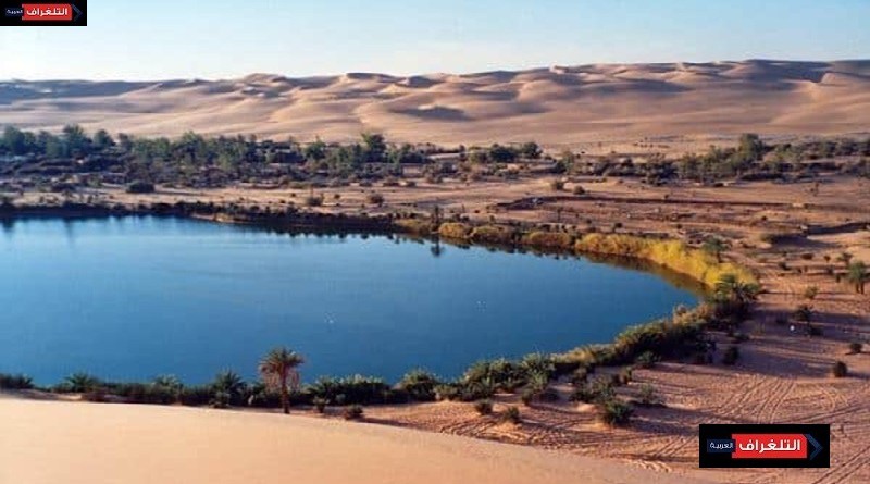 التسويق الإلكتروني ودوره في نجاح وكالات السياحة العلاجية