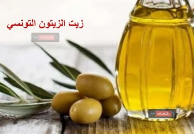 زيت الزيتون التونسي…الصادرات الدولية والعائدات المالية