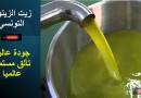 زيت الزيتون التونسي… جودة عالية وتألق مستمر في المسابقات العالمية