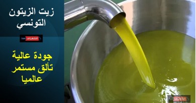 زيت الزيتون التونسي… جودة عالية وتألق مستمر في المسابقات العالمية