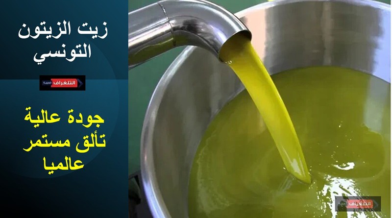 زيت الزيتون التونسي... جودة عالية وتألق مستمر في المسابقات العالمية