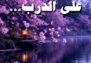 إصدار كتاب، “خطواتٌ على الدرب…” (رحلة شائقة نحو استكشاف الداخل) بقلم رانيا كفروني فرح